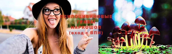 стаф Магадан