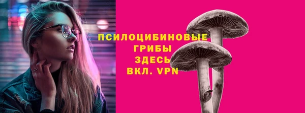 мдпв Липки