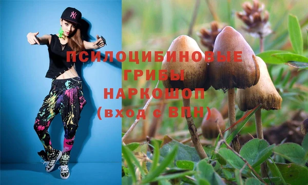 молекула духа Лихославль
