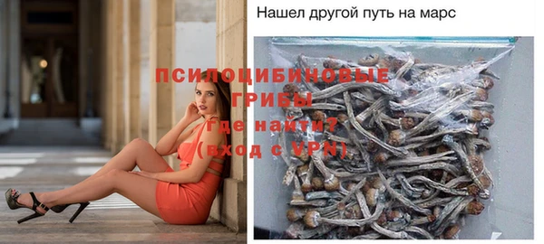 молекула духа Лихославль