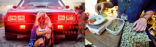 мдпв Липки